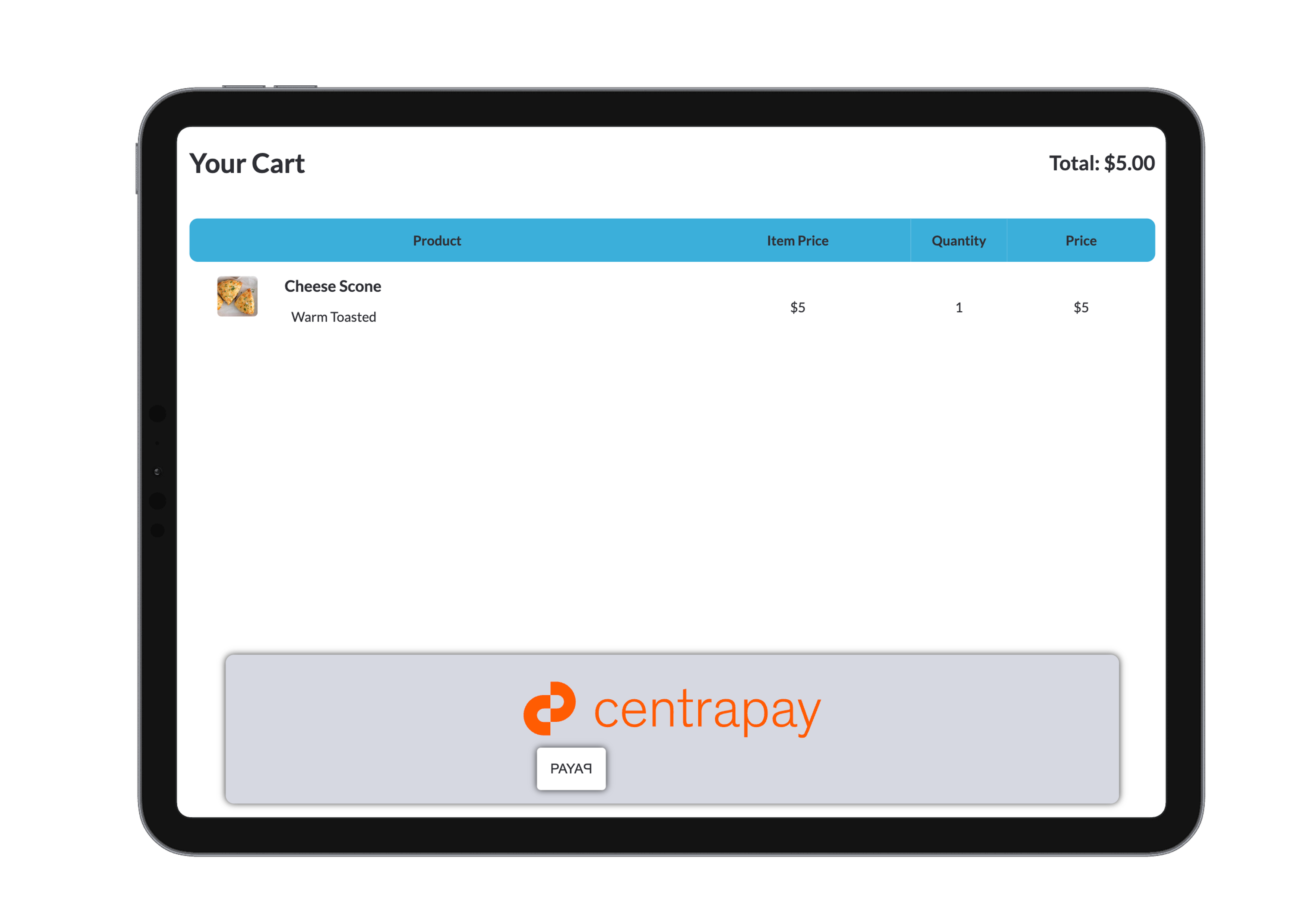 Companion Display Light Mode